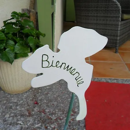 Panoramique Du Verdon Castellane