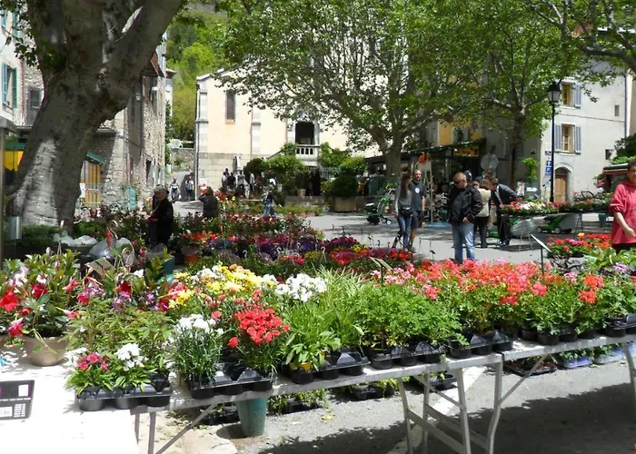 Camping Panoramique Du Verdon Castellane